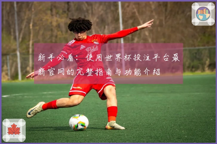 新手必看：使用世界杯投注平台最新官网的完整指南与功能介绍