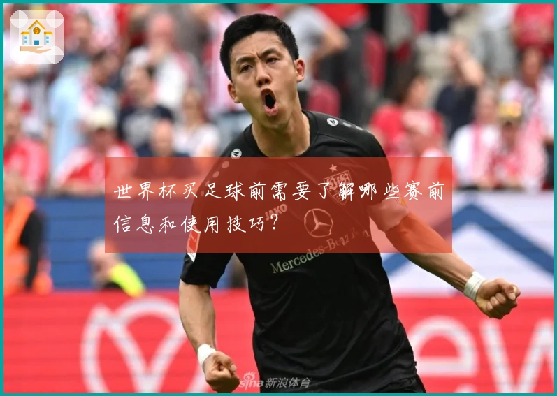 世界杯买足球前需要了解哪些赛前信息和使用技巧？