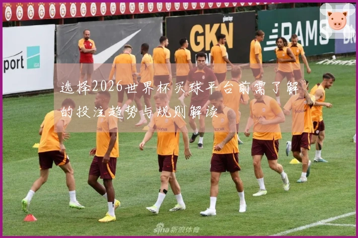 选择2026世界杯买球平台前需了解的投注趋势与规则解读