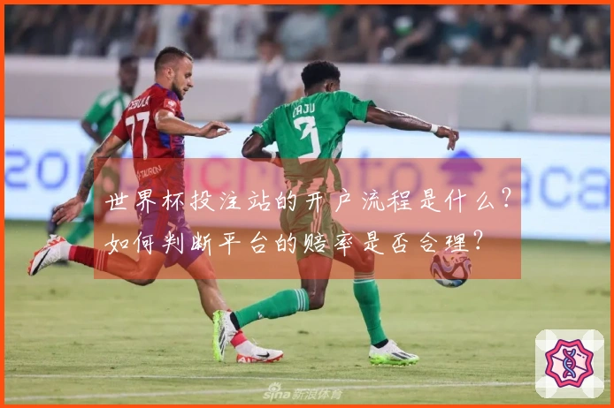 世界杯投注站的开户流程是什么？如何判断平台的赔率是否合理？