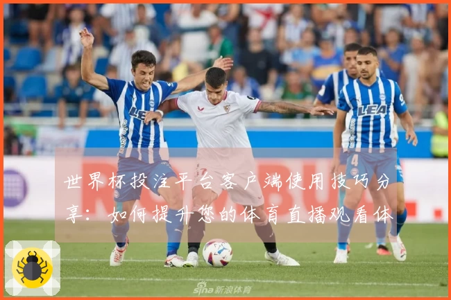 世界杯投注平台客户端使用技巧分享:如何提升您的体育直播观看体验
