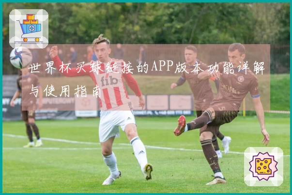 世界杯买球链接的APP版本功能详解与使用指南