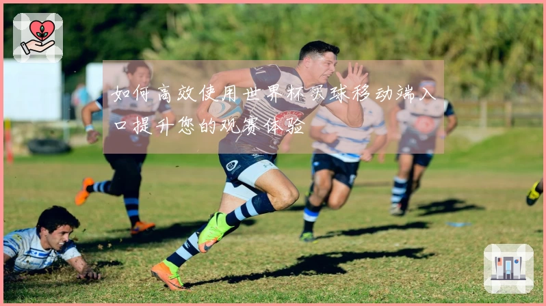 如何高效使用世界杯买球移动端入口提升您的观赛体验