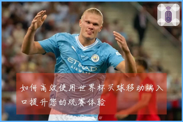 如何高效使用世界杯买球移动端入口提升您的观赛体验