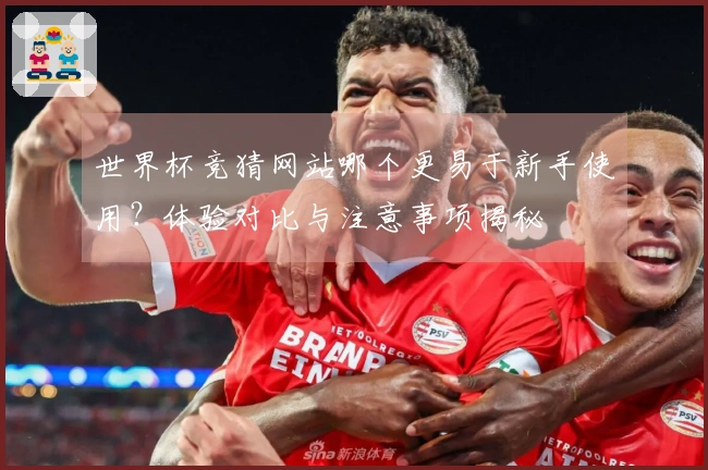 世界杯竞猜网站哪个更易于新手使用？体验对比与注意事项揭秘