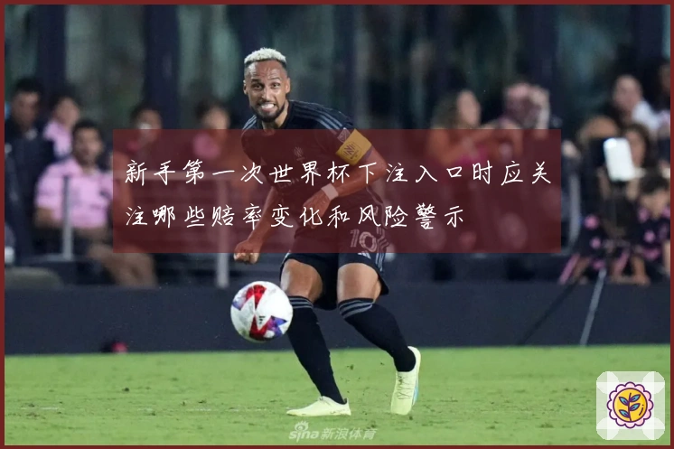 新手第一次世界杯下注入口时应关注哪些赔率变化和风险警示