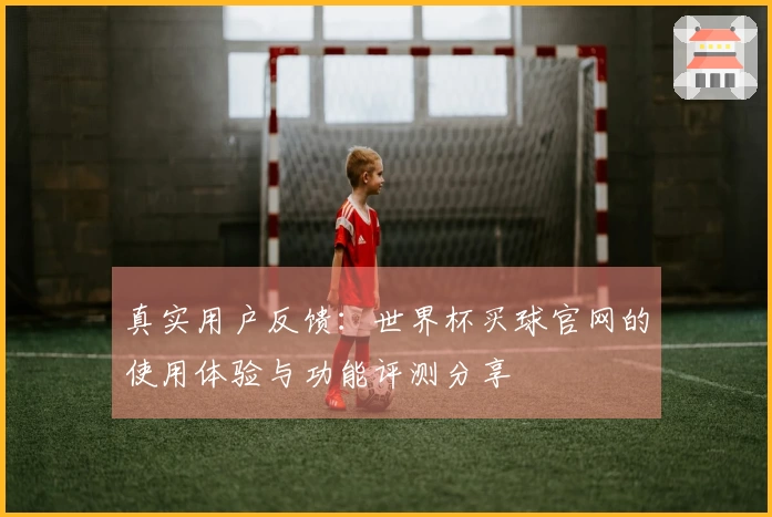 真实用户反馈：世界杯买球官网的使用体验与功能评测分享