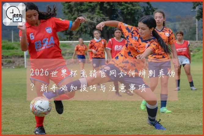 2026世界杯竞猜官网如何辨别真伪？新手必知技巧与注意事项