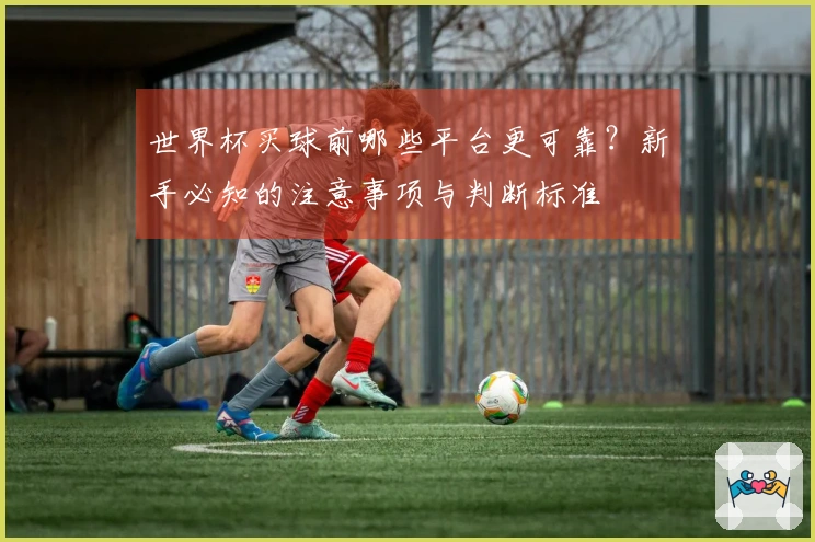 世界杯买球前哪些平台更可靠？新手必知的注意事项与判断标准